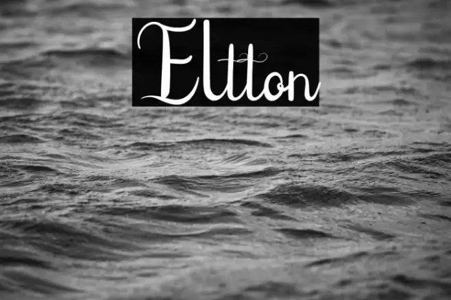 Eltton Font examples