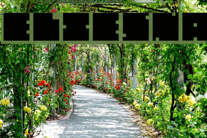 Elvi-Esna Font examples