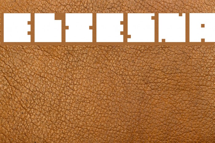 Elvi-Esna Font examples