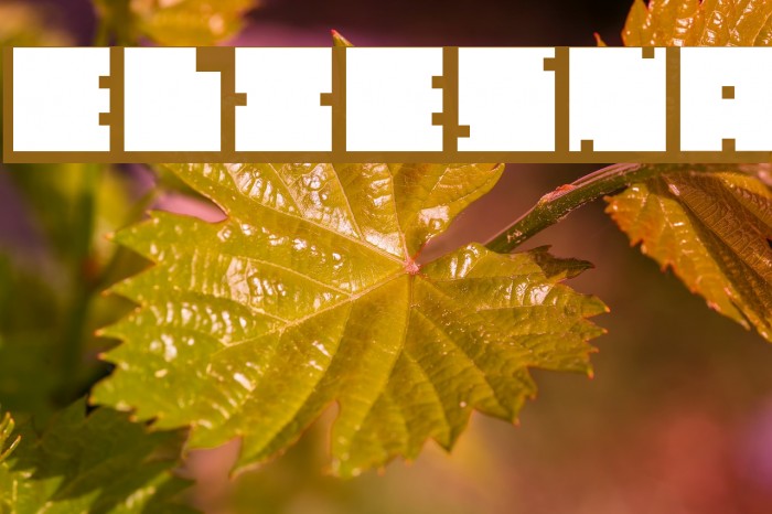 Elvi-Esna Font examples