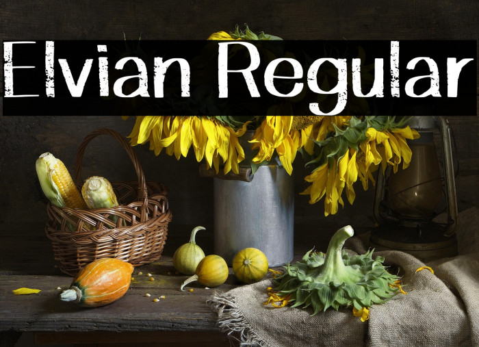 Elvian Regular Example 1