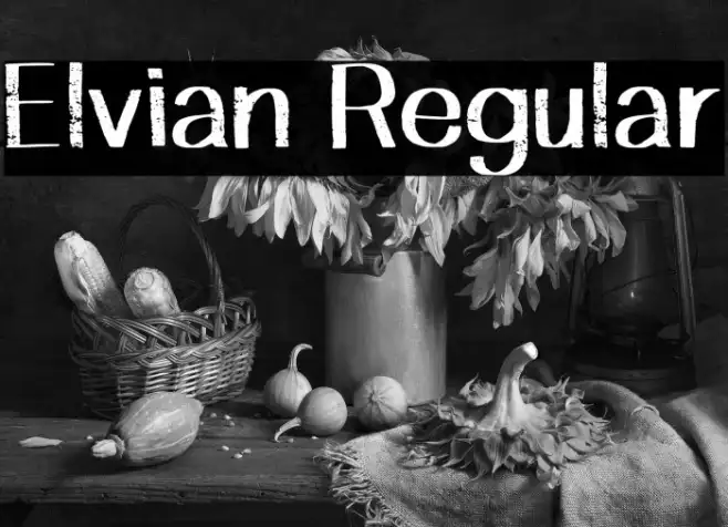 Elvian Regular Example 1