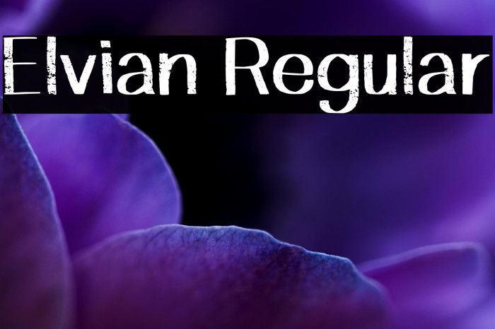 Elvian Regular Example 2