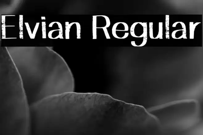 Elvian Regular Example 2