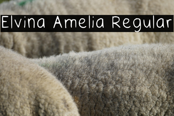 Elvina Amelia Regular Example 1