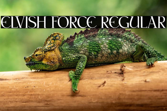 Elvish Force Regular Example 1