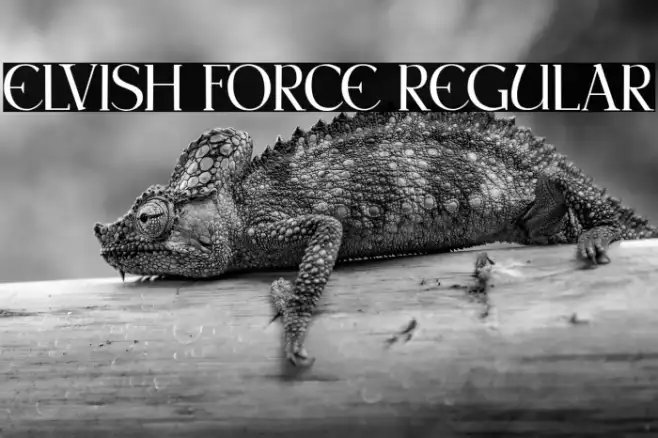 Elvish Force Regular Example 1