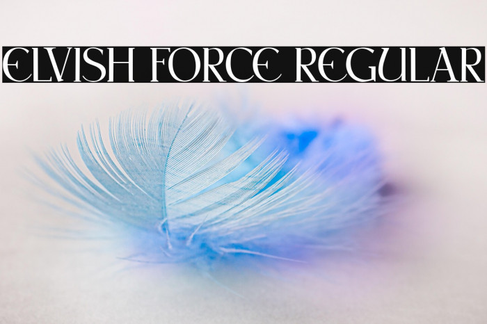 Elvish Force Regular Example 3