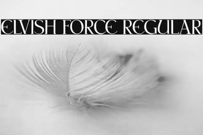 Elvish Force Regular Example 3