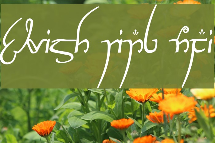 Elvish Ring NFI Font examples