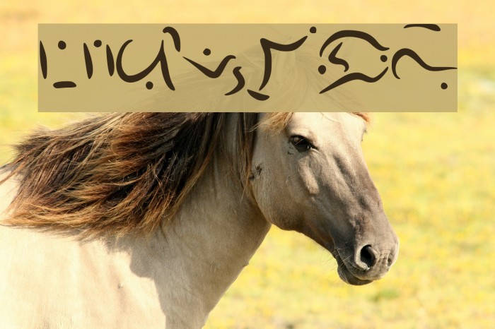 Elvish Font examples