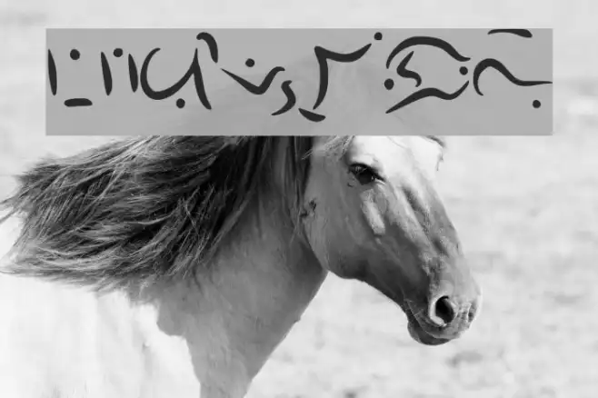Elvish Example 2