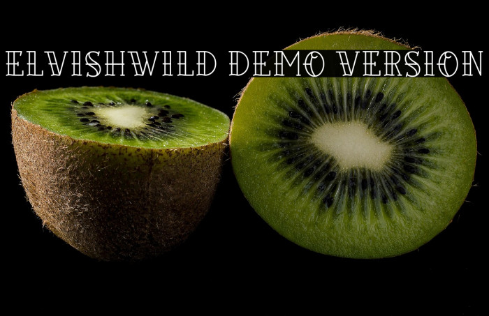 Elvishwild Demo Version Example 1