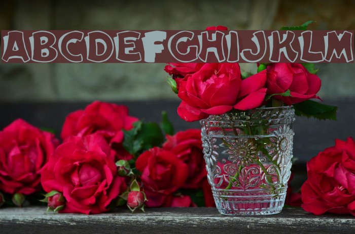 Elwood Regular Font examples
