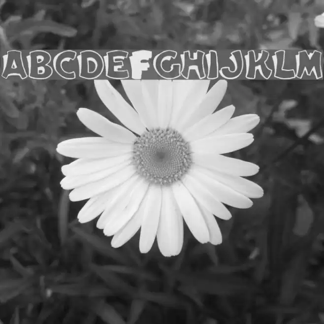 Elwood Regular Font examples