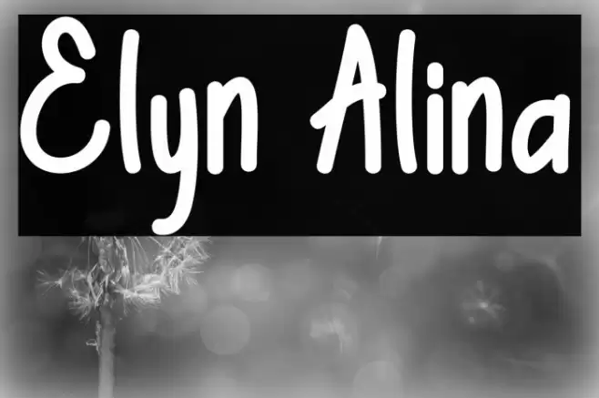 Elyn Alina Font examples