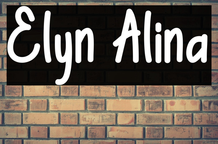 Elyn Alina Example 2