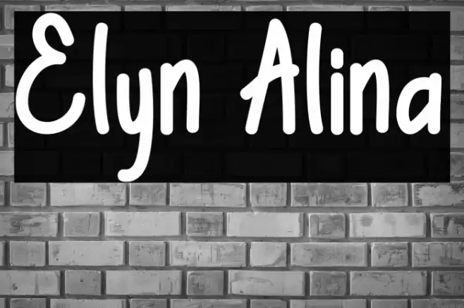 Elyn Alina Font examples