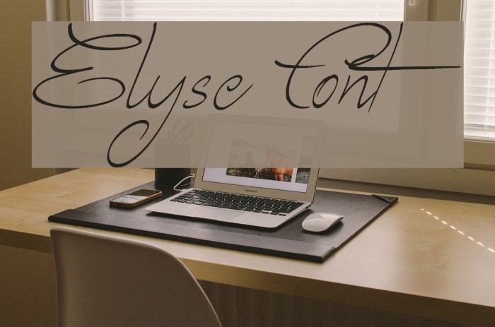 Elyse Font examples