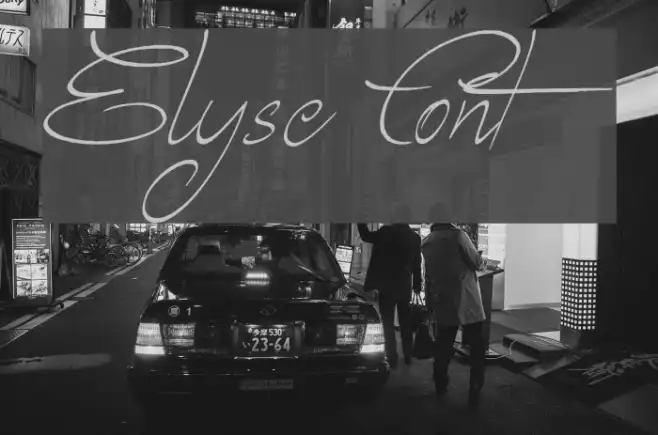 Elyse Example 2