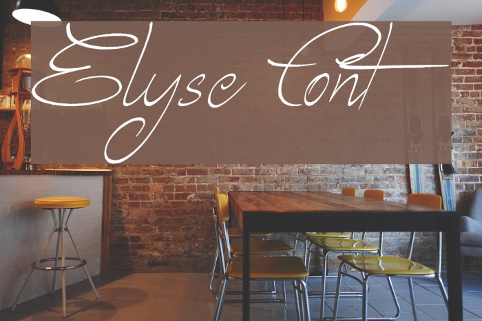 Elyse Font examples