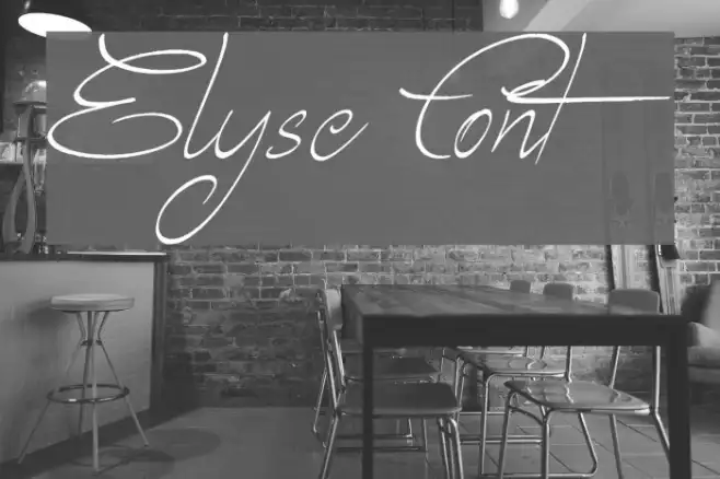 Elyse Example 3