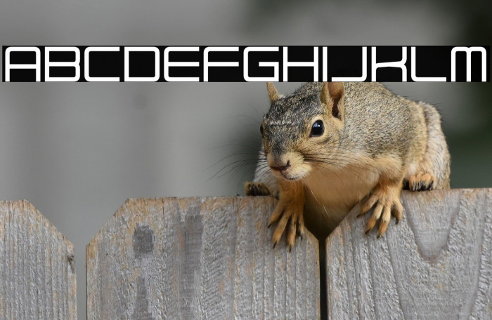 Elysian Fields Example 1