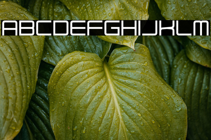 Elysian Fields Example 2