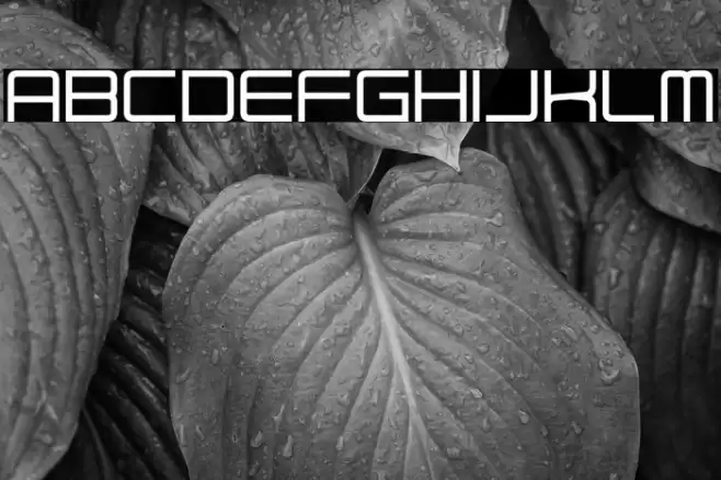 Elysian Fields Font examples