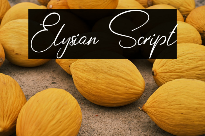 Elysian Script Example 1