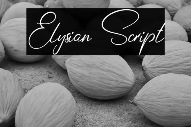 Elysian Script Example 1