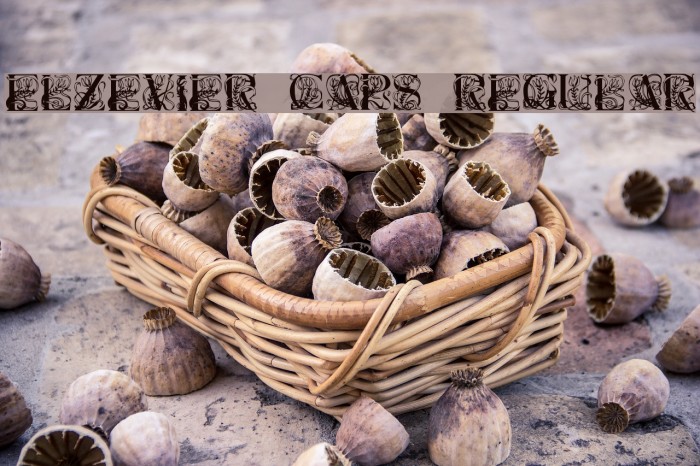 Elzevier Caps Regular Font examples