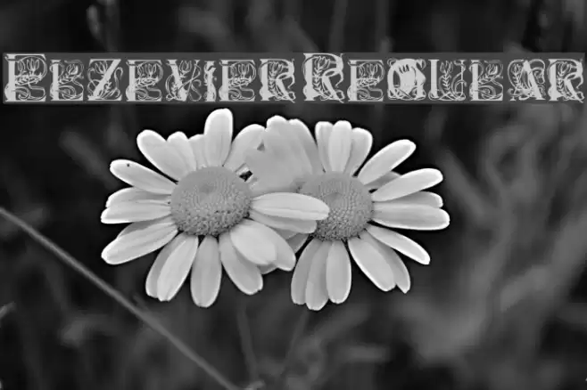 Elzevier Regular Font examples