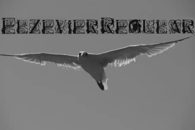 Elzevier Regular Font examples