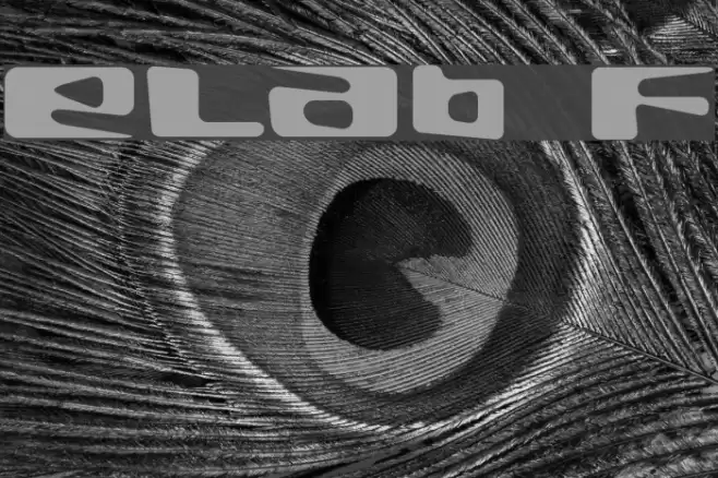 eLab Font examples