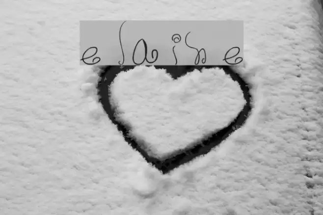 elaine Font examples