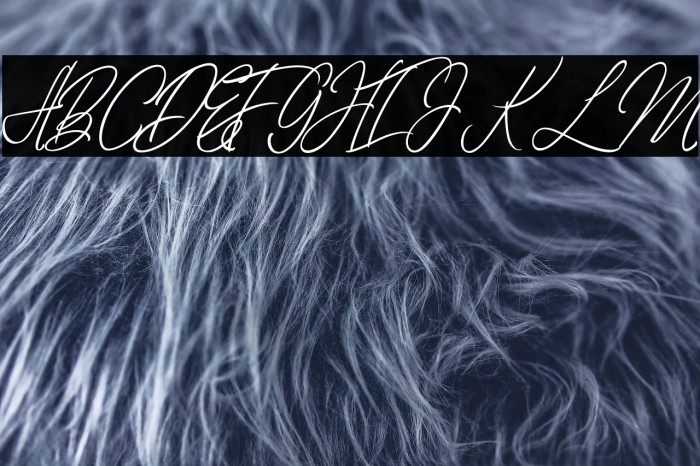 elaineighteen Example 1