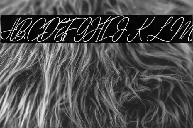 elaineighteen Example 1