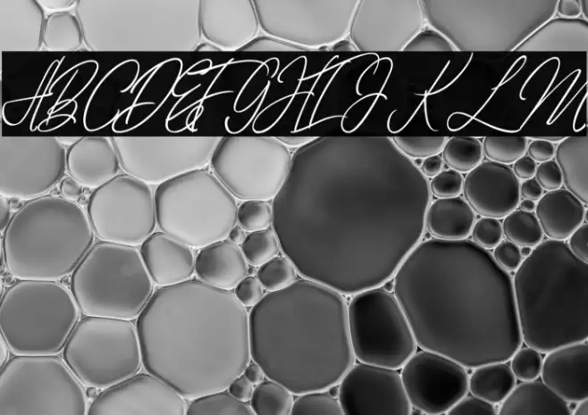 elaineighteen Example 3