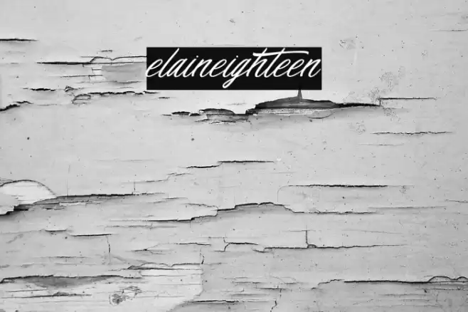 elaineighteen Font examples