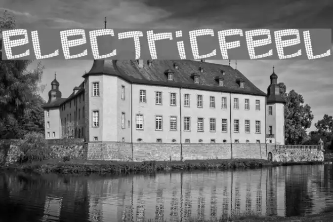 electricfeel Example 1