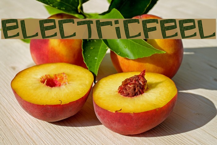 electricfeel Font examples