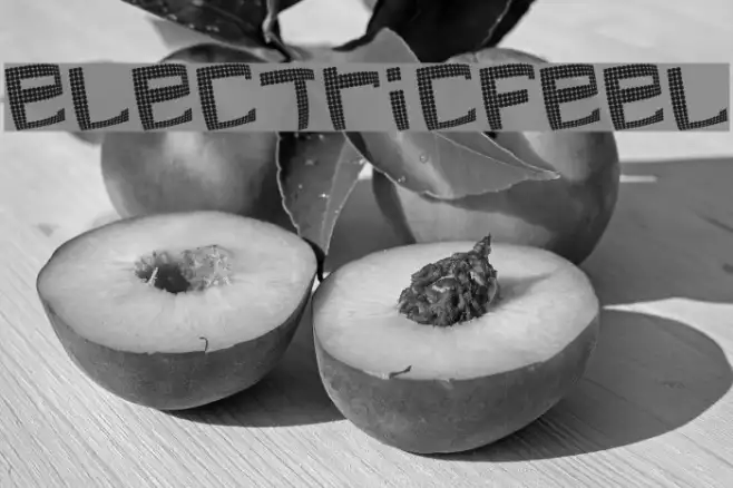 electricfeel Example 2