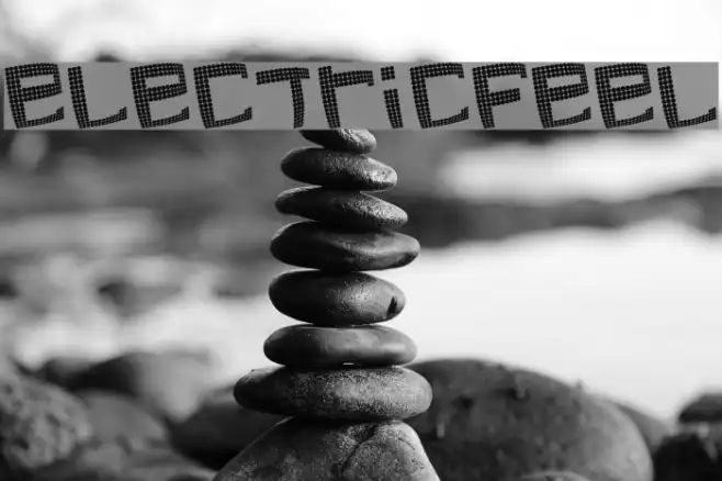electricfeel Example 3