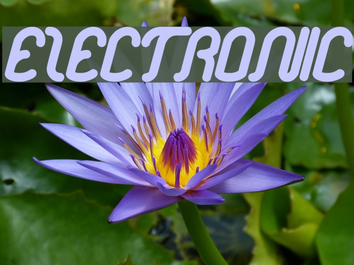 electronic Font examples