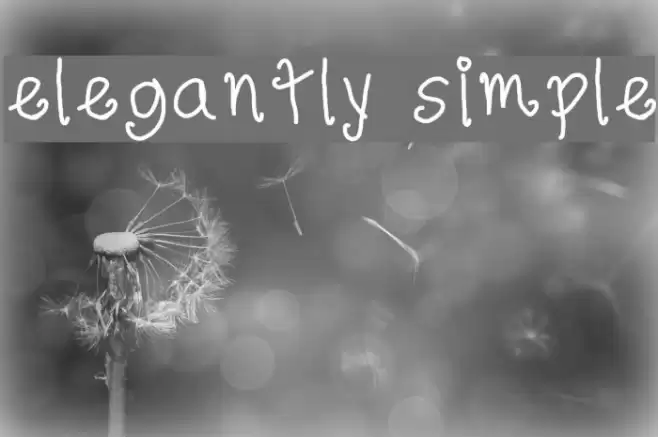 elegantly simple Font examples