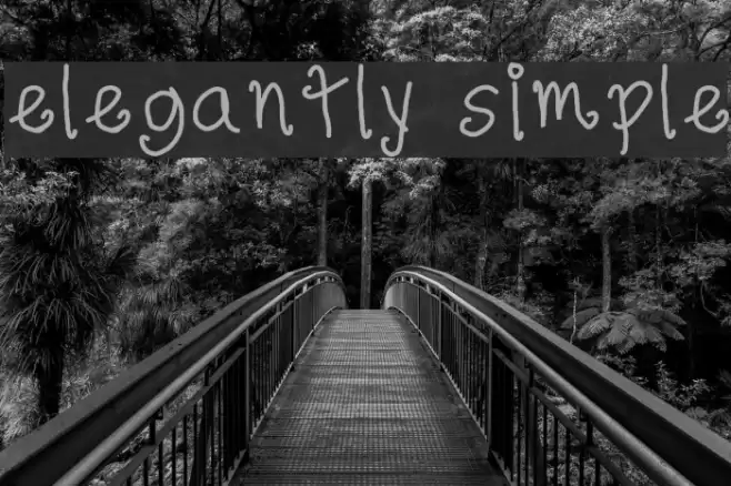 elegantly simple Font examples