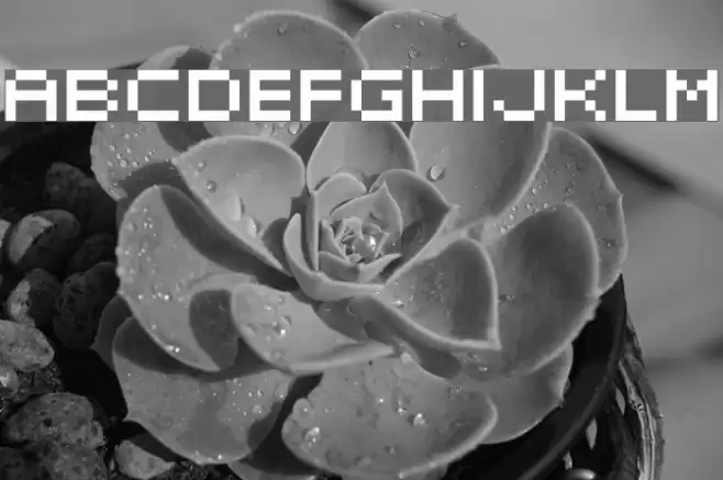 elektr_02_5 Caratteri examples