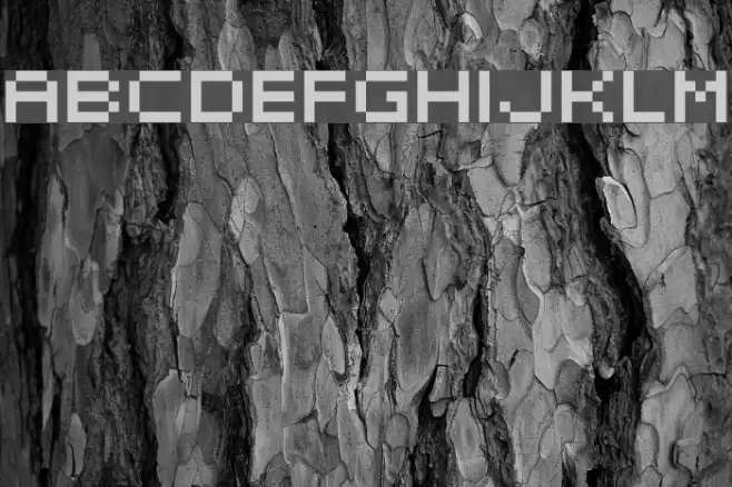 elektr_02_5 Caratteri examples