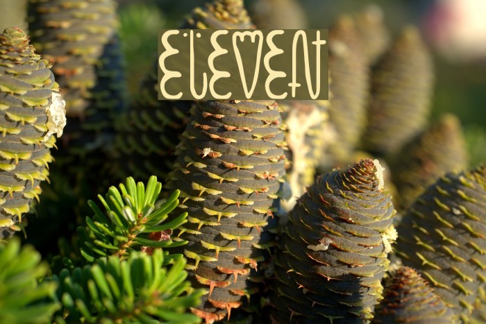 eleven Font examples